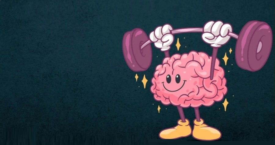 Brain Recoding