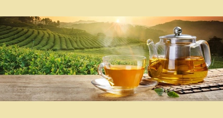 Baap Ji Ki Chai