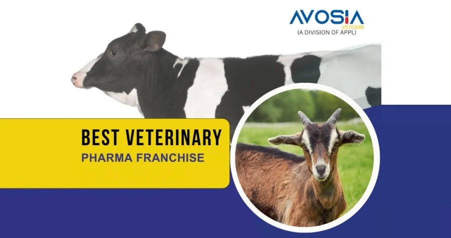 Avosia Vetcare
