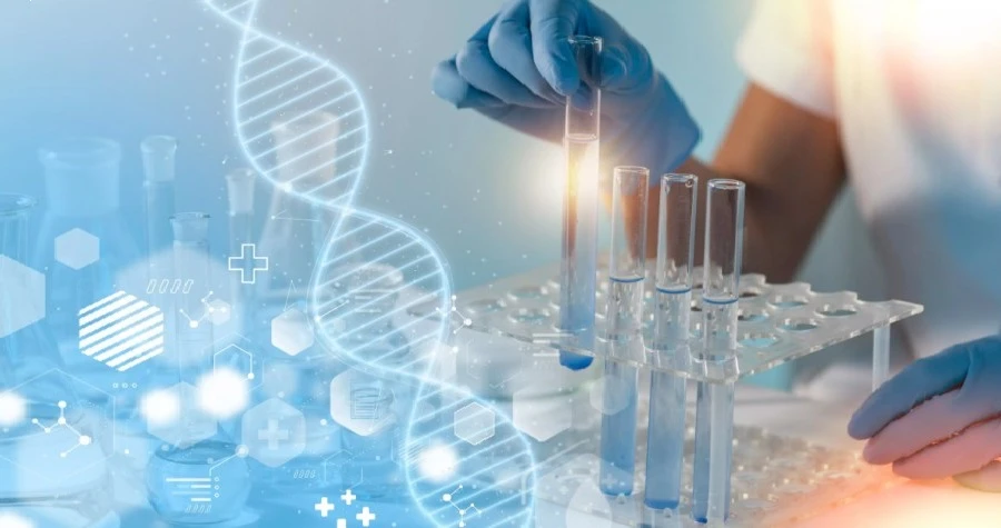 Invision Medi Sciences