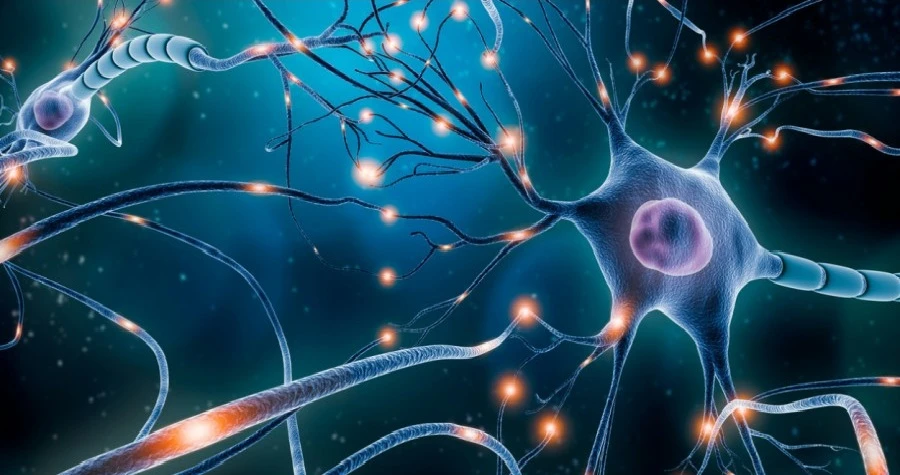 Ronish Neurosciences