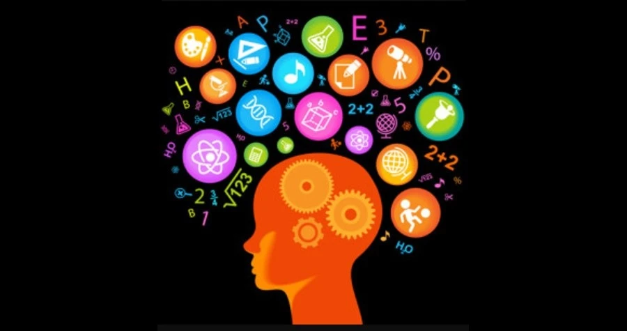 Mid Brain