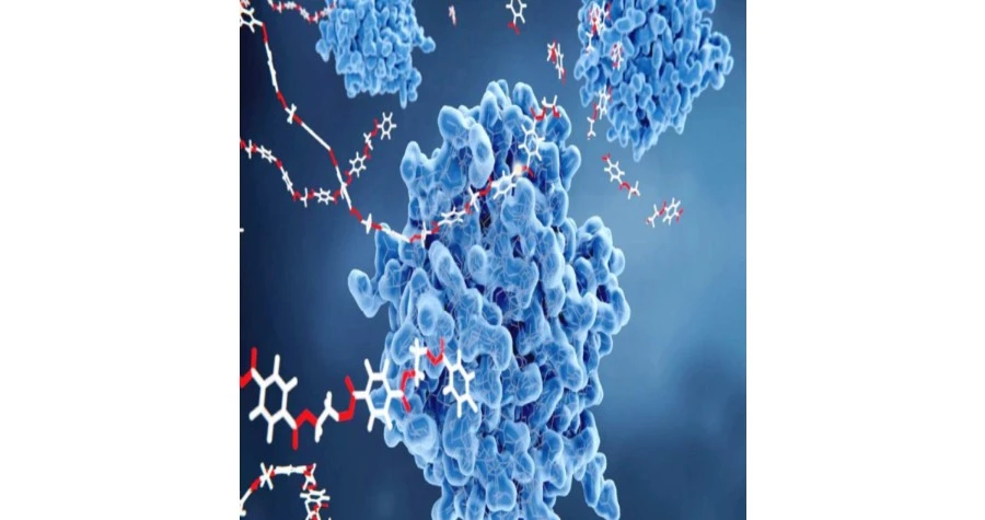 Arani Biotech  LLP
