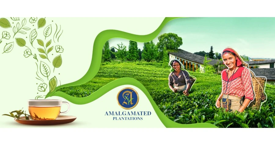 Amalgamated Plantations