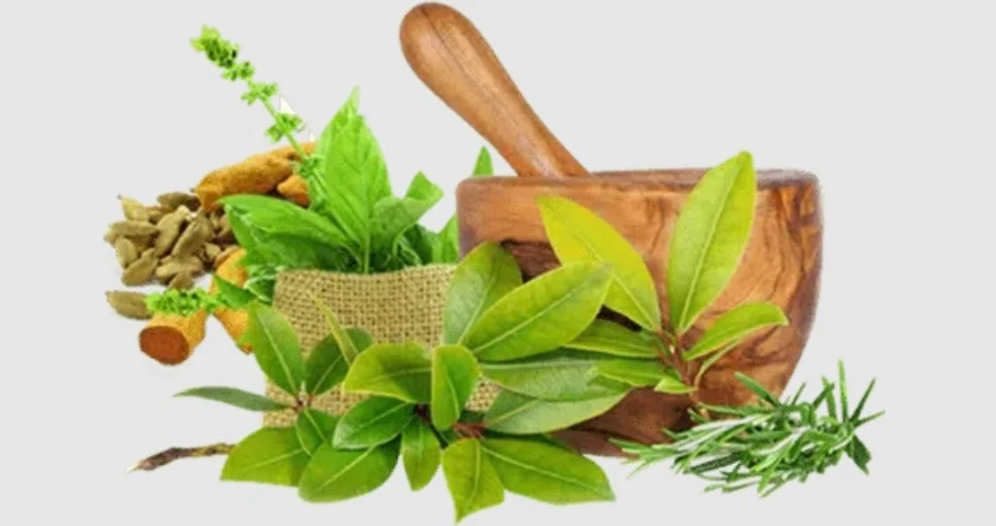 Swastik Ayurveda
