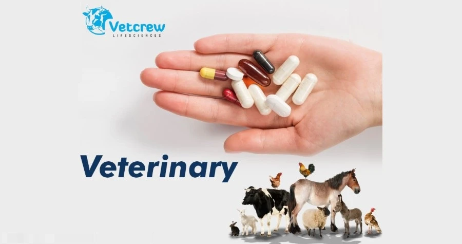 Vetcrew Lifescience
