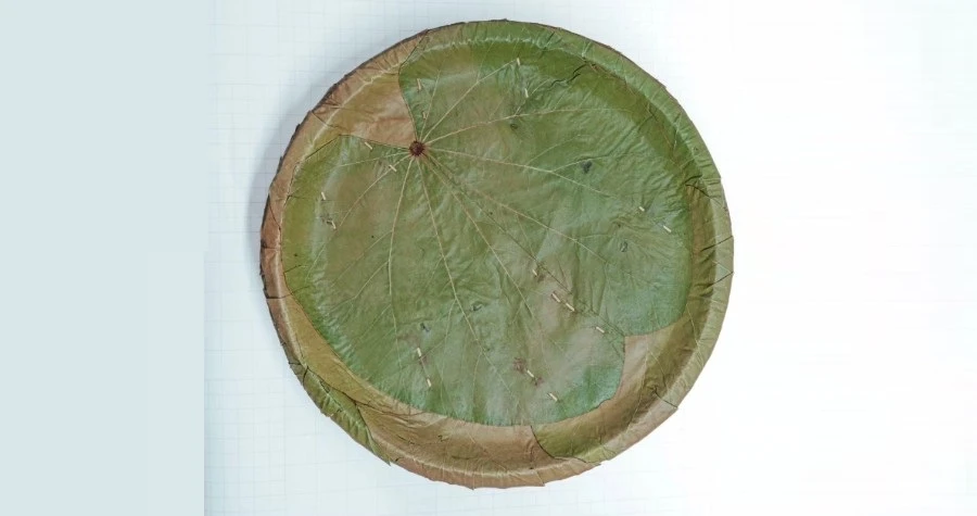 Prakratam