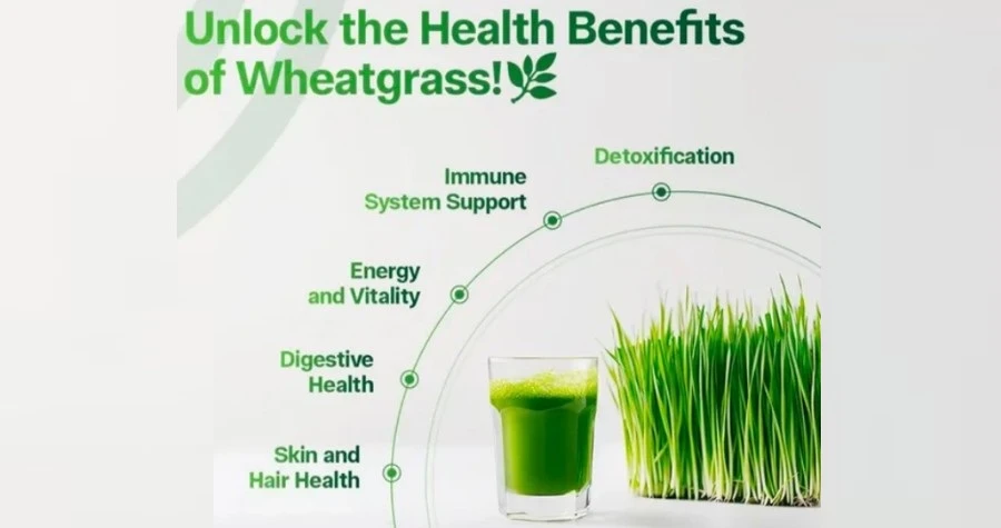 Hakha Organic Foods