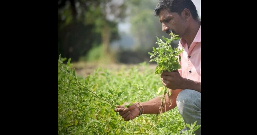 Manohar Yug
