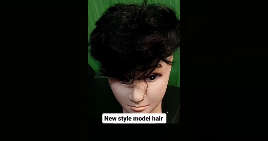 Model Hair Wig Studio