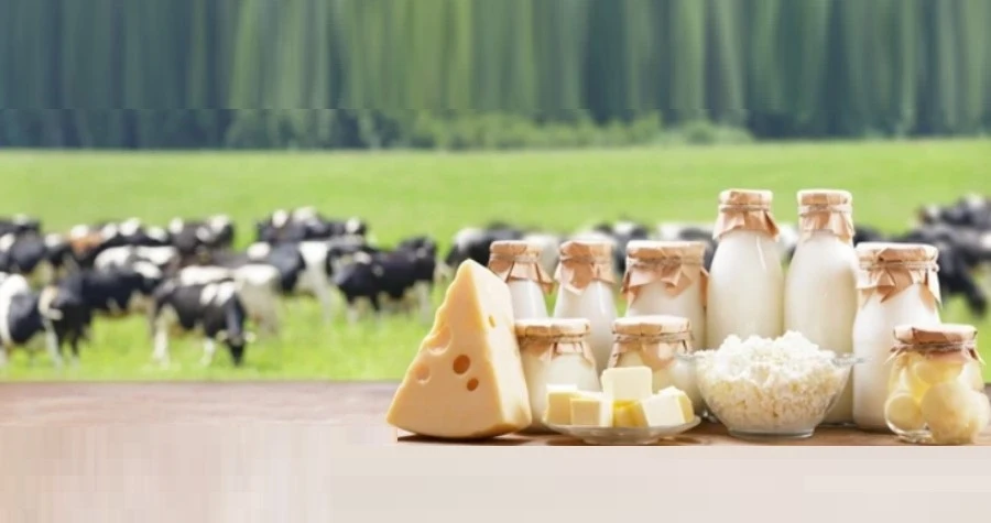 Shree Agro and Dairy Farms