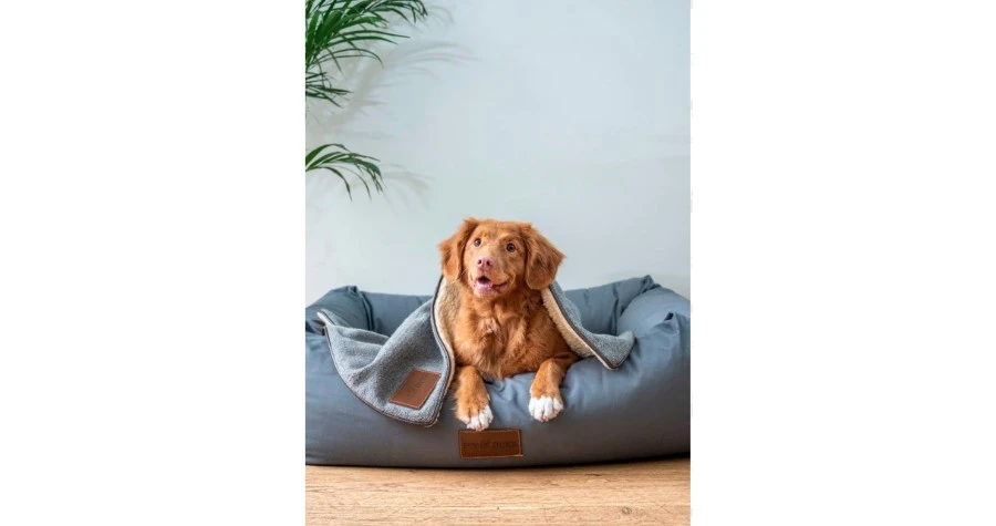 Petfirst Healthcare