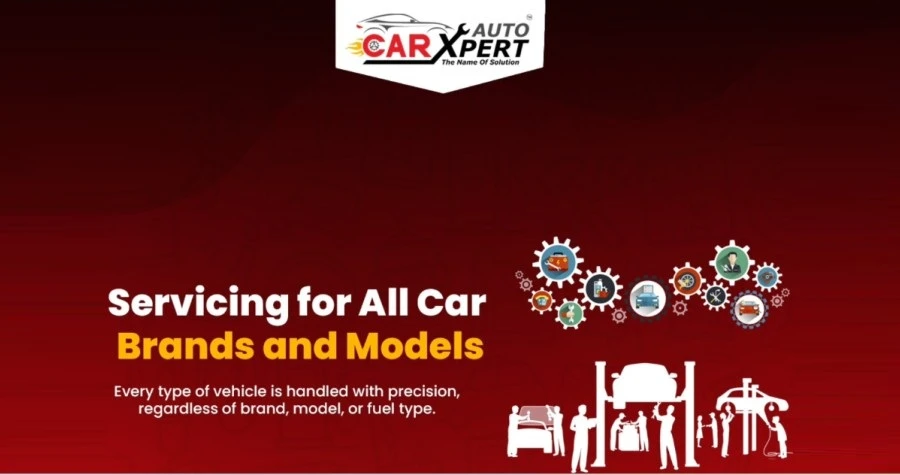 Car Auto Xpert