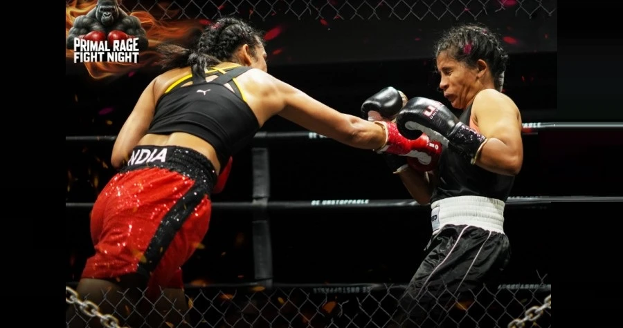 Creed Combat Studio