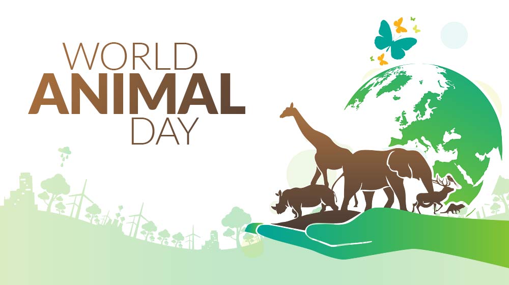 Animal day. World animal Day. International animals Day. World animal Day poster. World animal Day PSD.