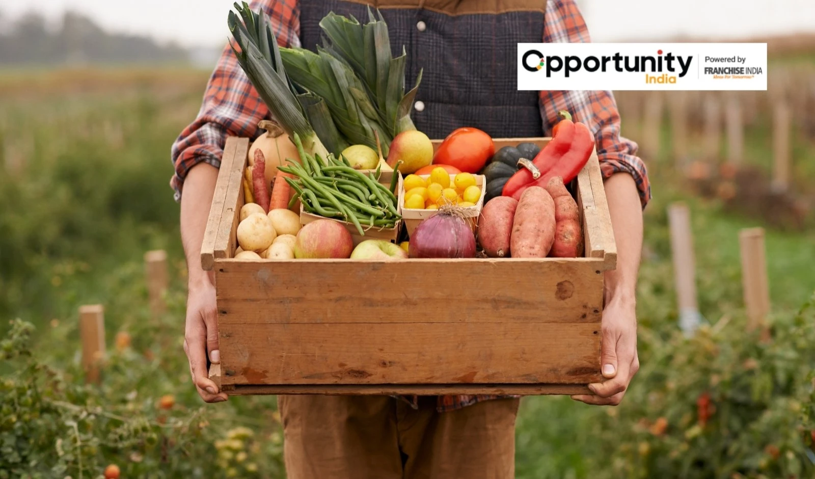 How to Start a Vegetable Farming Business?