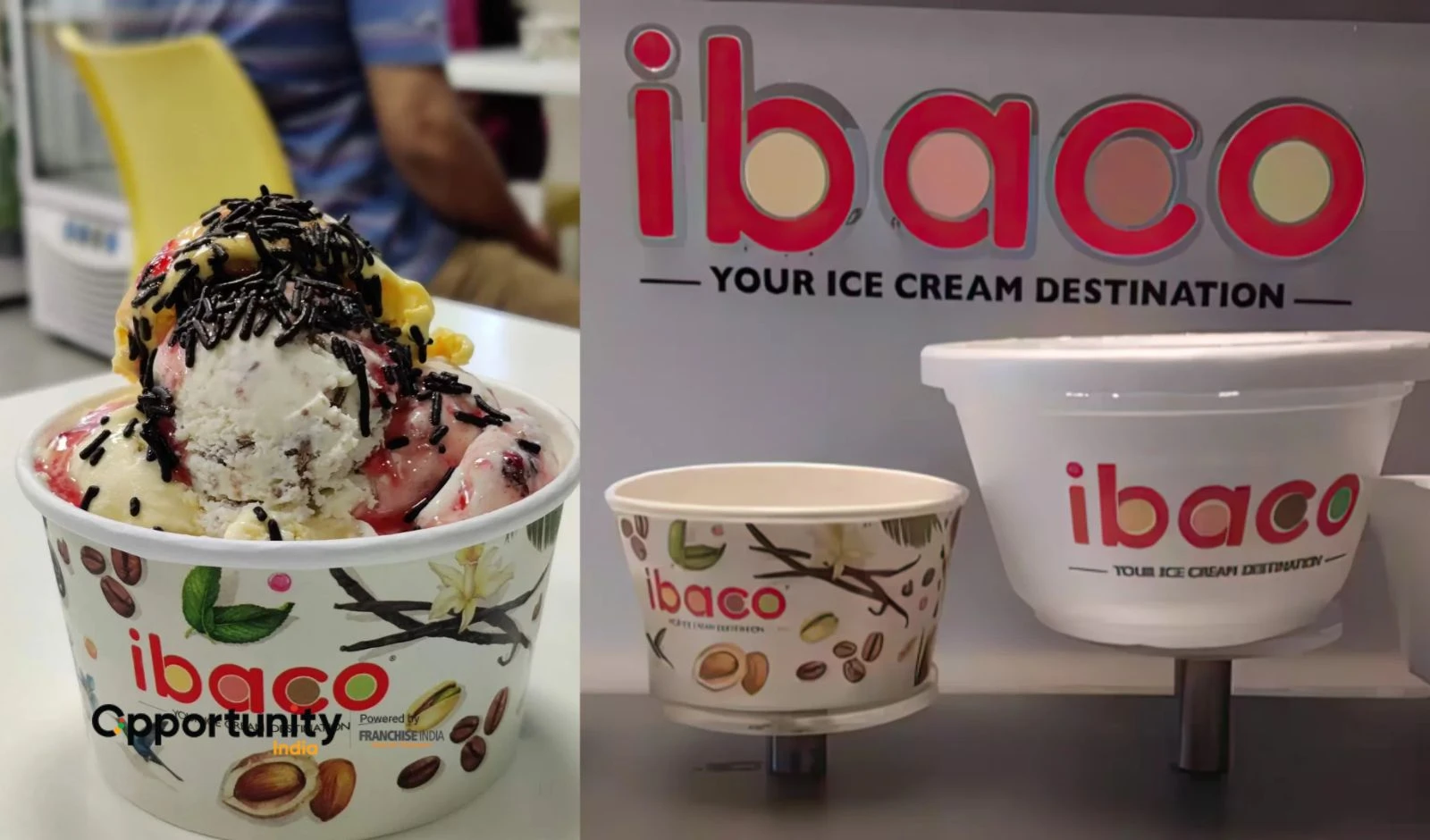 Ibaco Franchise Cost, Profit & How to Start in 2025