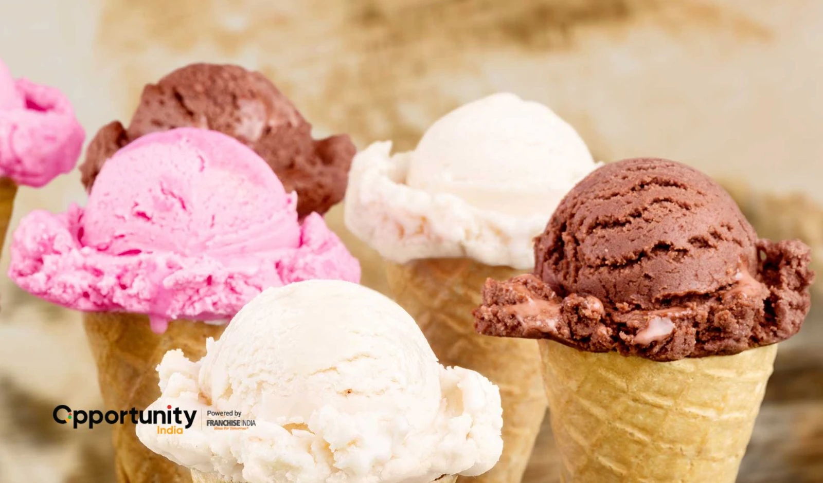 Meridian Ice Cream Franchise Cost, Profit & How to Start in 2025