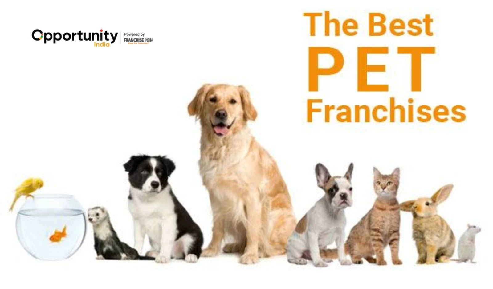 10 Best Pet Franchise Businesses in India for 2025