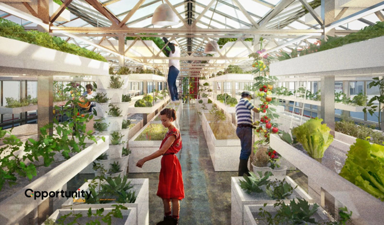 Urban Rooftop Farming Franchise Model image