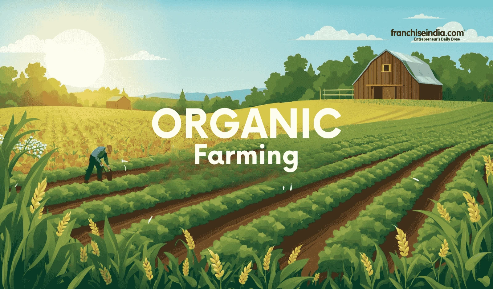 7 Profitable organic farming business ideas