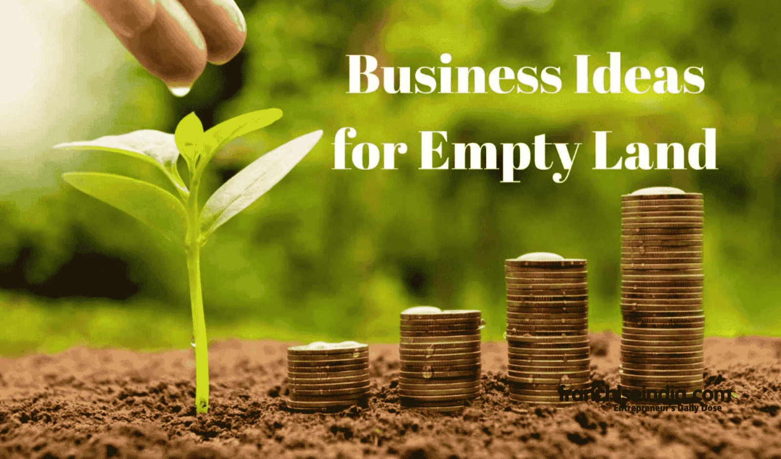 15 Lucrative Business Ideas for Empty Land