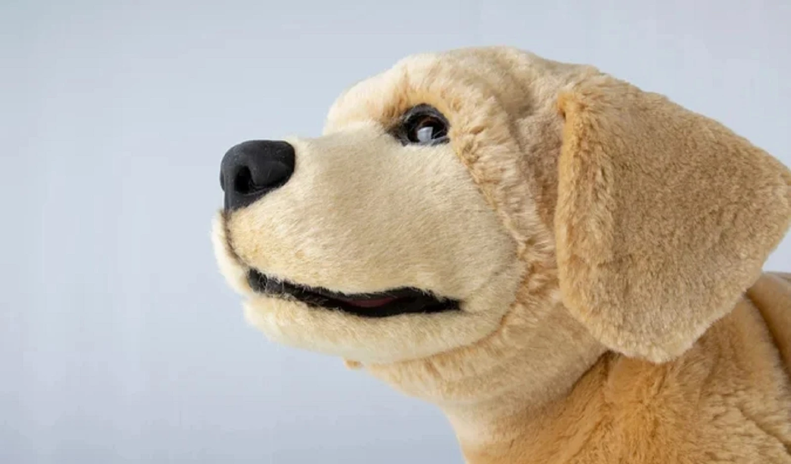 CES 2026: The Dawn of Physical AI and Everything Intelligent