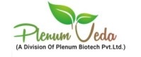 Plenum Veda