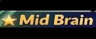 Mid Brain