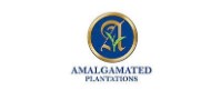 Amalgamated Plantations
