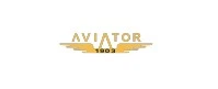 Aviator 1903