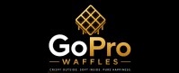 GoPro Waffles