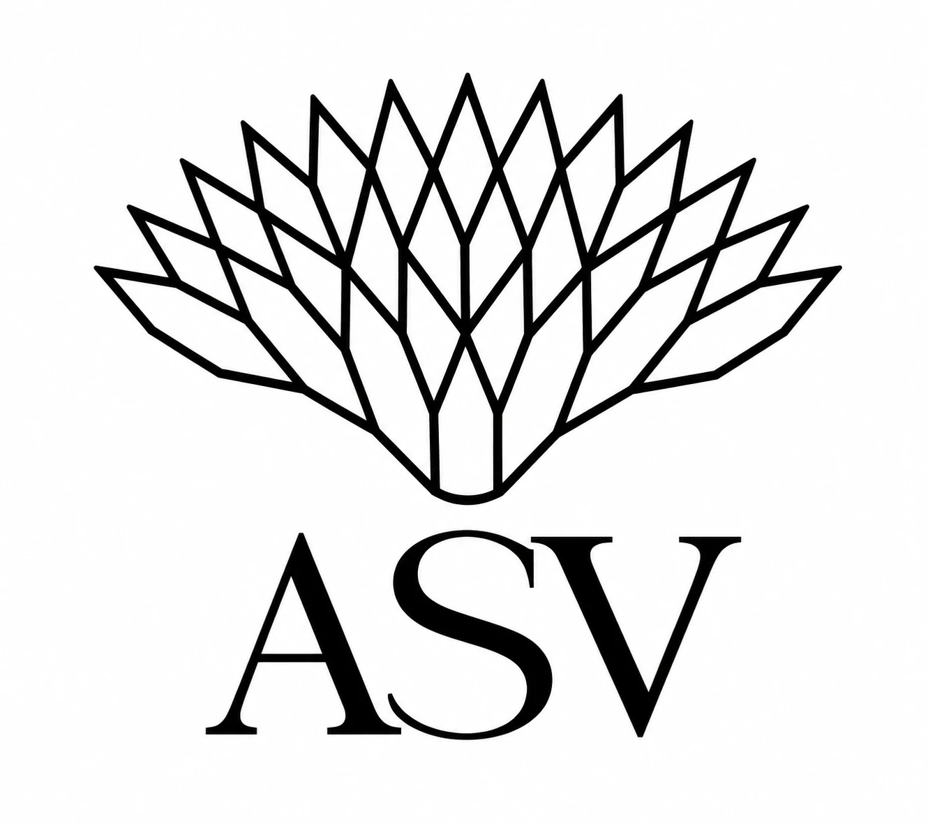 ASV Polkis