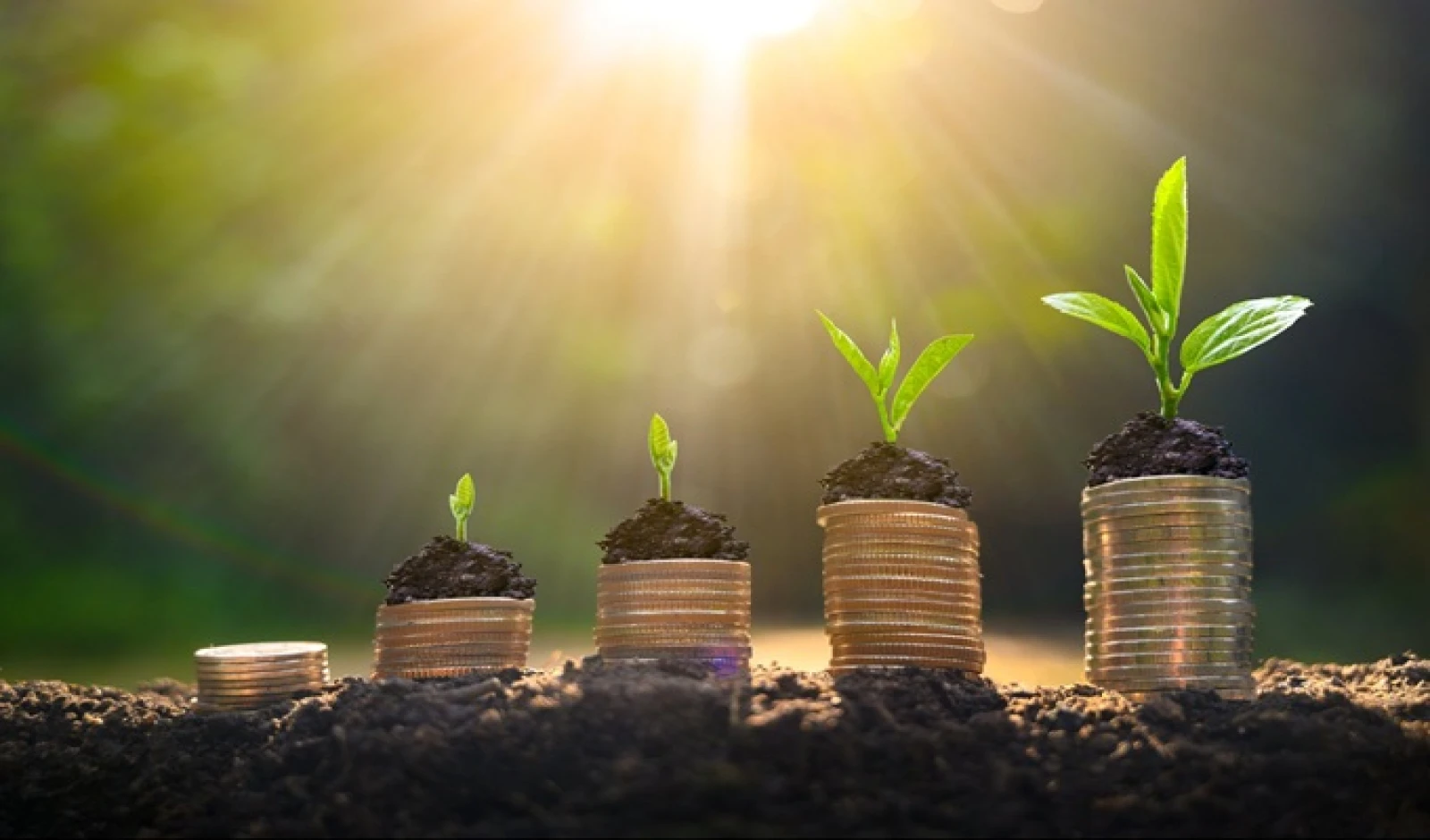 India Inc Set for Muted 5–6% Revenue Growth in Q2 FY26: ICRA