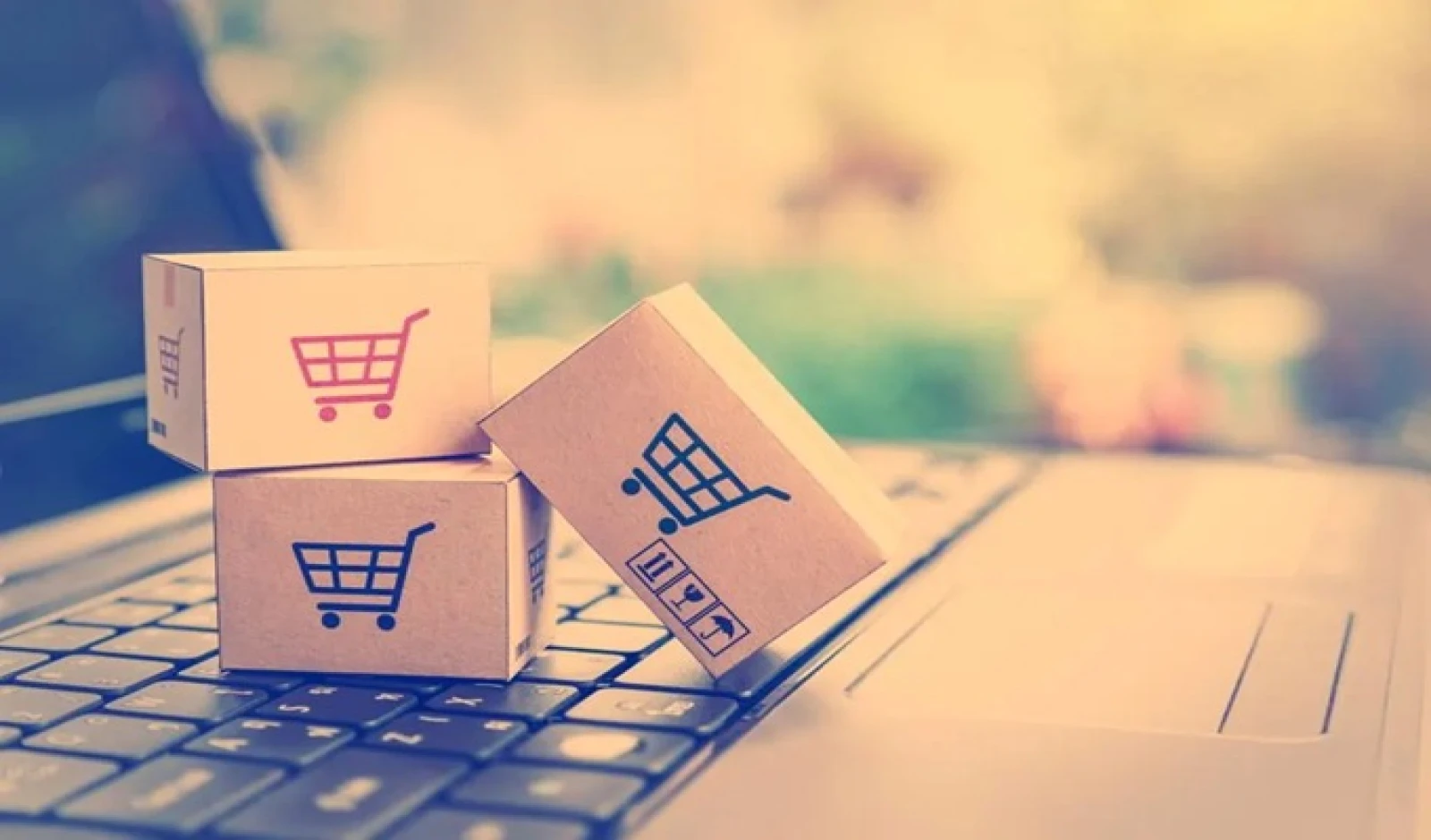 Urban Festive Shoppers Flock Online, E-Commerce Buying Set to Soar 115% in 2025: Report