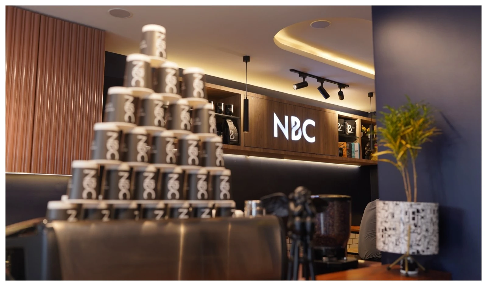 NBC ने गुजरात और पंजाब में विस्तार के साथ आउटलेट्स में 52% और रेवेन्यू में 70% वृद्धि दर्ज की