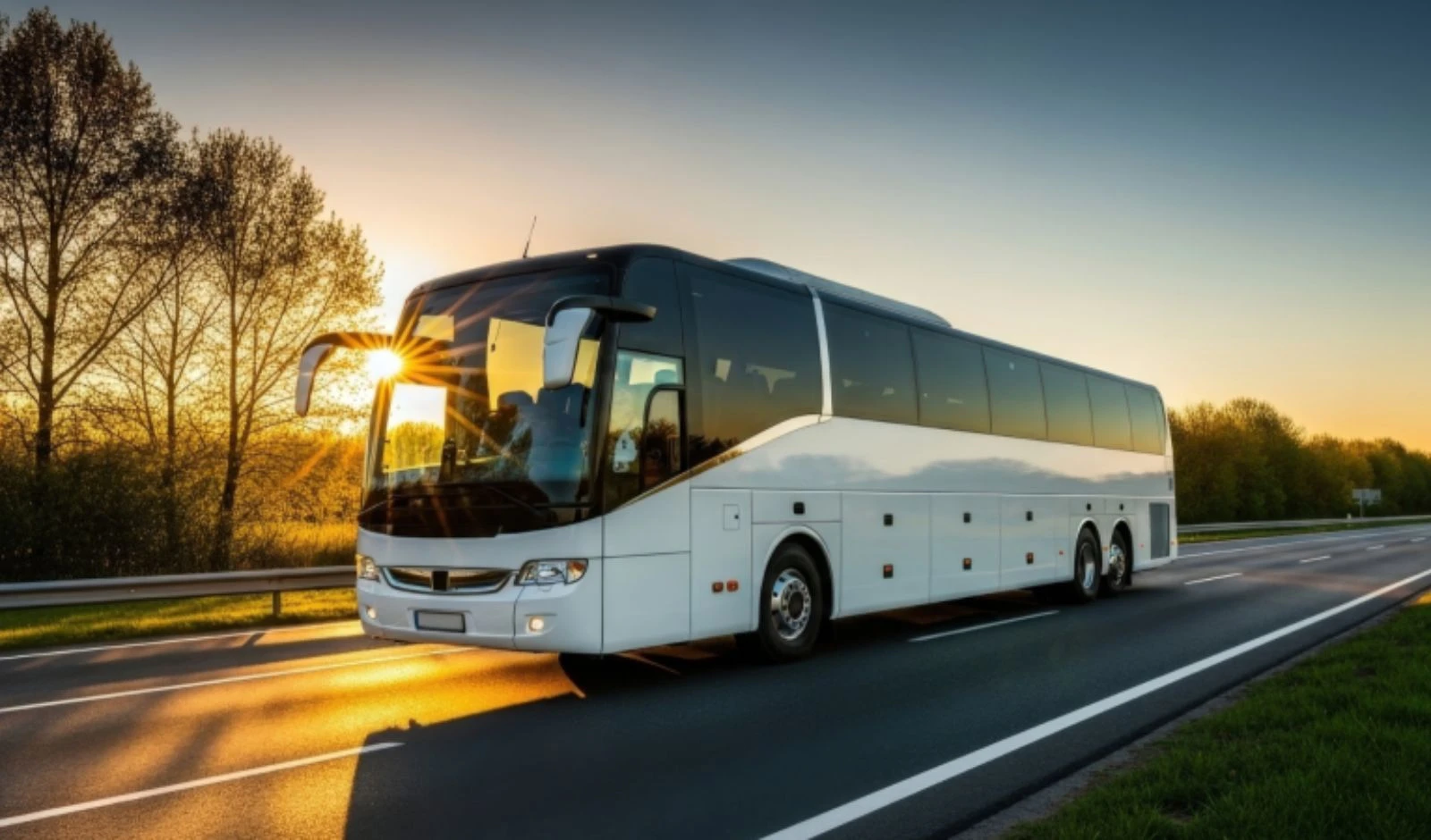 GreenCell Mobility Secures USD 89 Mn from IFC, BII and Tata Capital image