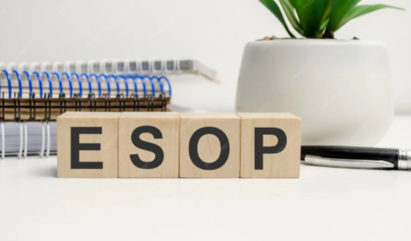 Zomato Parent Eternal Grants ESOPs Worth INR 167 Cr to Employees image